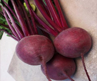 ichiban seeds beetroot