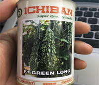 ichiban_seeds