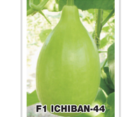 ichiban_seeds